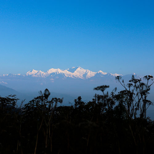 Gangtok & Darjeeling Tour
