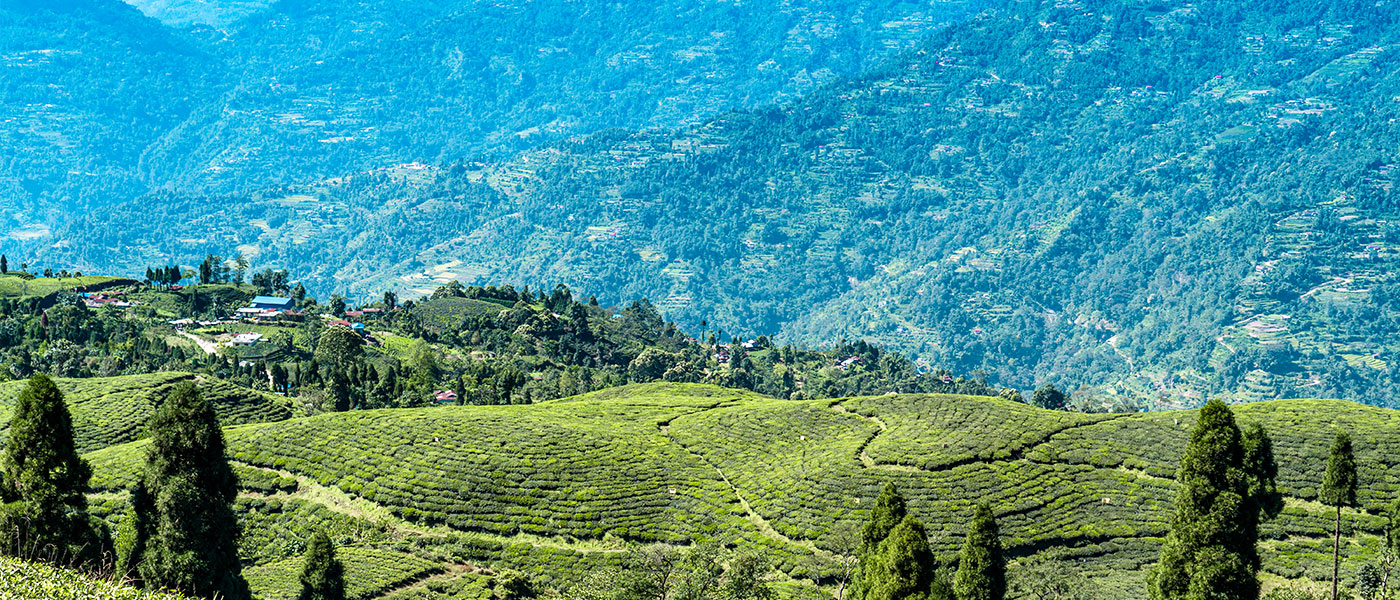 Darjeeling & Mirik 4 Days Tour