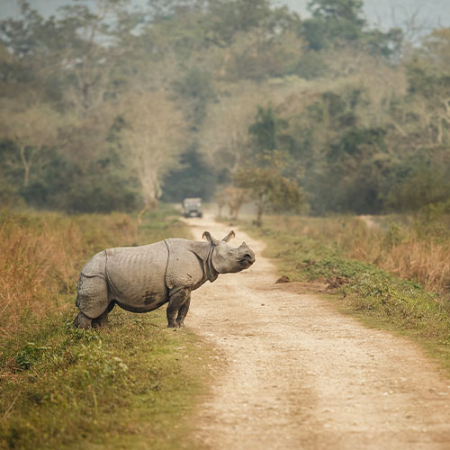 Northeast Explorer Tour