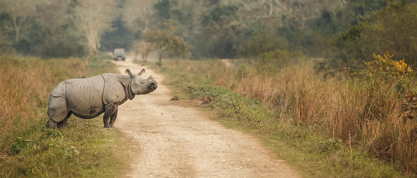 Northeast Explorer Tour