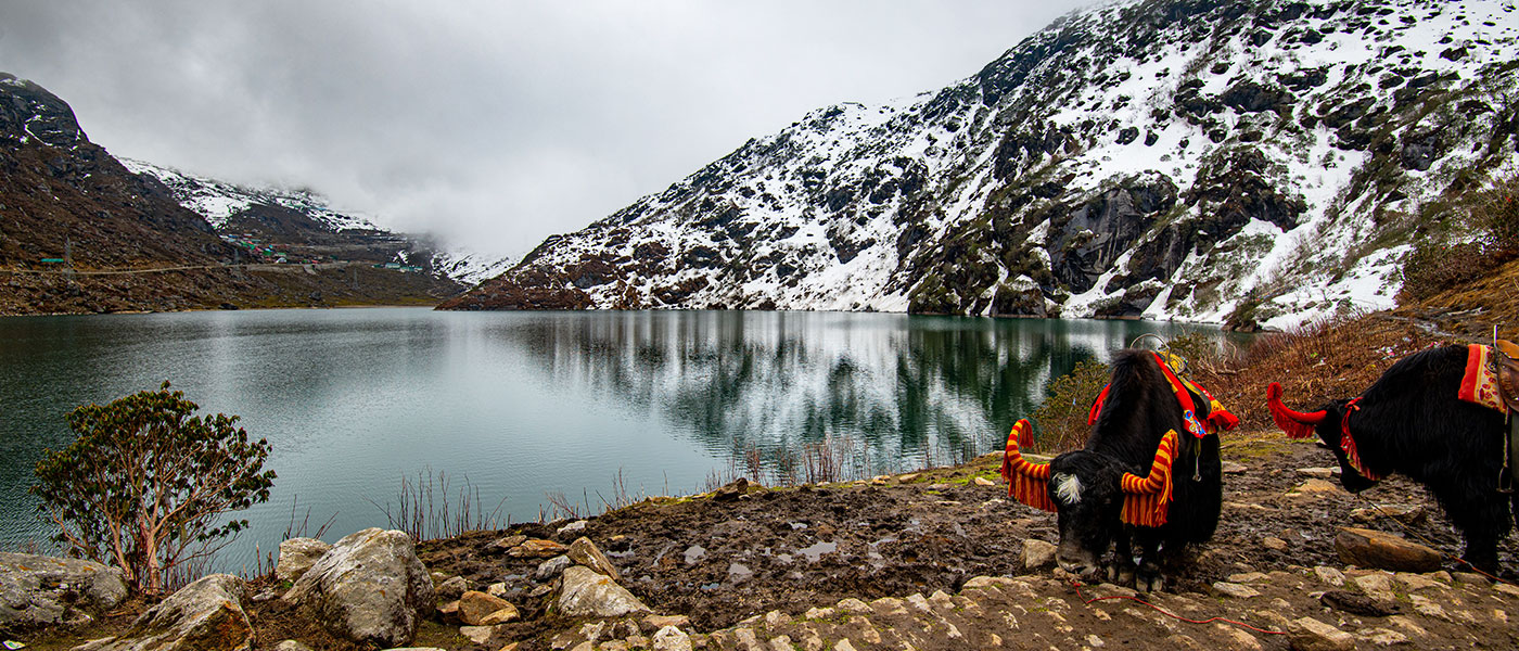 Sikkim Short Escape Tour