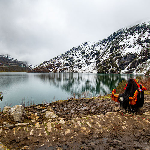 Sikkim Short Escape Tour